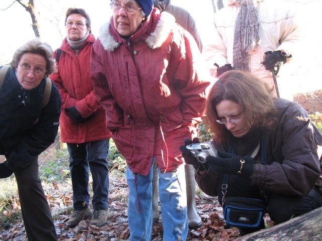 2007 11 Etangs de Hollande 12